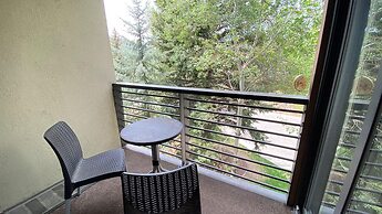 #301 Vail International