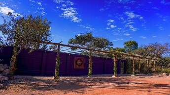 Vila Flor - Chapada dos Veadeiros