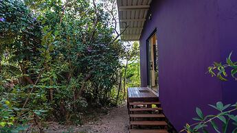 Vila Flor - Chapada dos Veadeiros