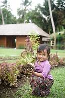 Kappa Senses Ubud