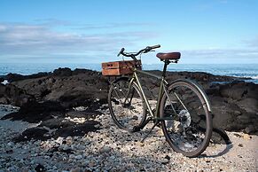 PACIFIC 19 Kona