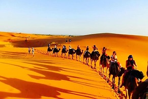 Camel Trek Bivouac in Merzouga