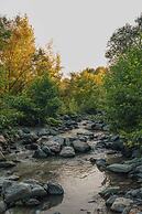 Mila Garden Villas & Bungalows