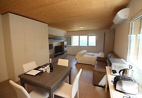 Ca' Balmelli With Shared Pool