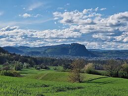 Sternen Bohlingen Aparthotel