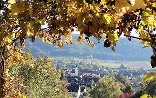 Sternen Bohlingen Aparthotel