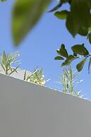 Acave Santorini Suites