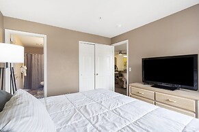 Lounging on the Lane