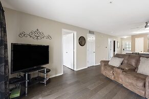 Lounging on the Lane