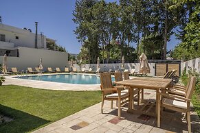 Olive Tree Gündoğan