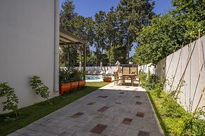 Olive Tree Gündoğan