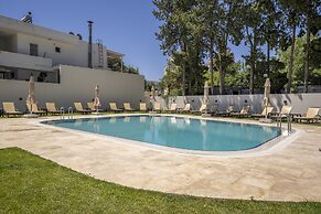 Olive Tree Gündoğan