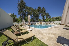 Olive Tree Gündoğan