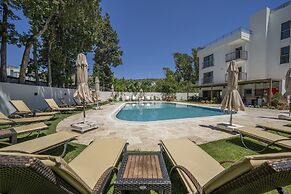 Olive Tree Gündoğan