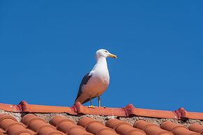 Sea Front Terrace Marco Polo