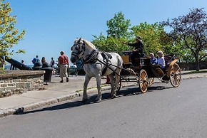 Unique & Sunny Top Floor Old Quebec Gem