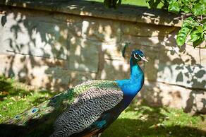 Northern Hideaways Apple Store, Ellingham