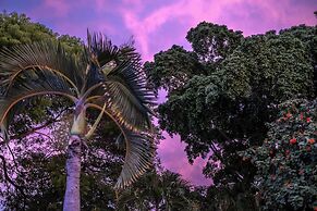Kura Botanica Hotel