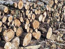 Acolhedor Ranchinho Campestre