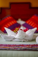 Yacumama Santa Teresa