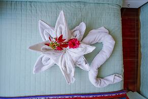 Yacumama Santa Teresa