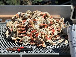 Raines Resort Cabins & RV