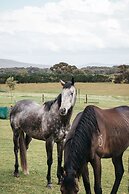 Majuba Country Lodge