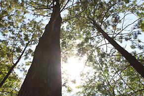 Punarnava Resort & Spa