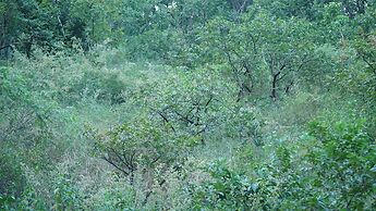 Punarnava Resort & Spa