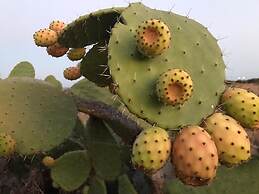 Sbarcatore dei Turchi - Dimore