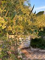 Agroturismo Malbuger Nou - Adults only