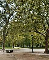 Modern Flat in Paddington