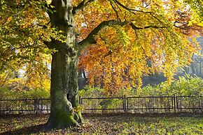 Seaside Apartamenty - 4 Pory Roku