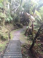 GLENALMOND Historic Homestead & Alpine Country Stay