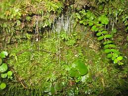 GLENALMOND Historic Homestead & Alpine Country Stay