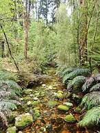 GLENALMOND Historic Homestead & Alpine Country Stay