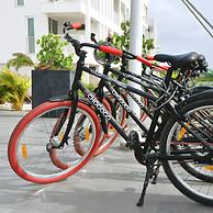 Chogogo Dive & Beach Resort Bonaire