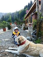 Mjora Otel Bungalov Ayder