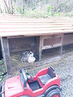 Mjora Otel Bungalov Ayder