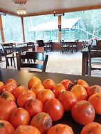 Mjora Otel Bungalov Ayder