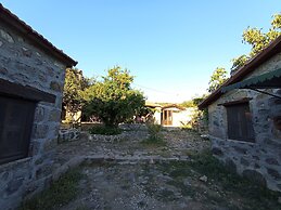 Thousand Ally Boutique