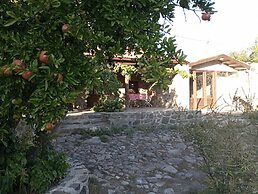 Thousand Ally Boutique