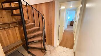 #310 Vail International