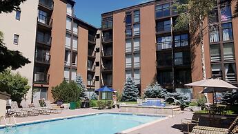 #310 Vail International