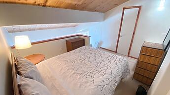 #303 Vail International