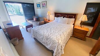 #303 Vail International