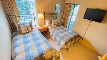 Vail International 401