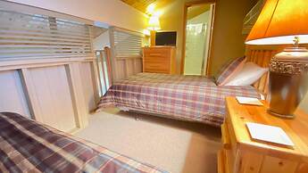 Vail International 401