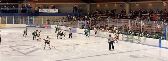 #407 Vail International