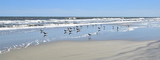 The 1890 Freeman House